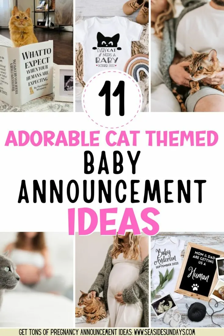 cat themed pregnancy announcement
