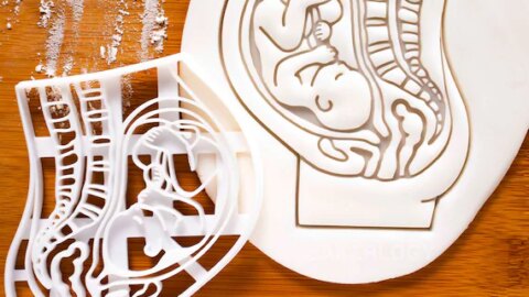 Image for Pregnant Womb With Fetus Pregnancy Cookie