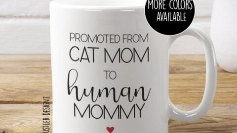 pregnancy announcement with cats
