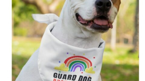 Image for Rainbow Baby Pregnancy Announcement With Dog