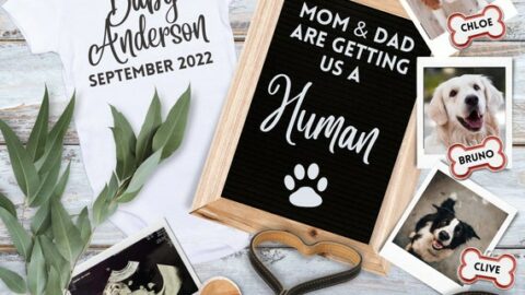 Image for Flat Lay Pregnancy Announcement