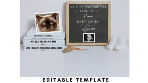 cat themed pregnancy announcement