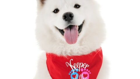 Image for Keeper of the Gender