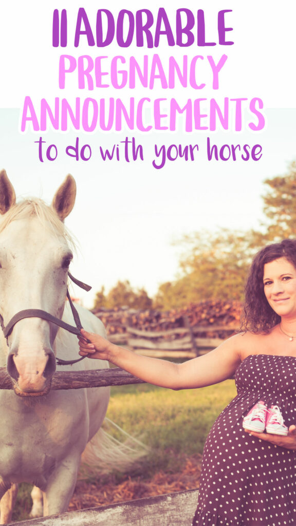 horse pregnancy announcements