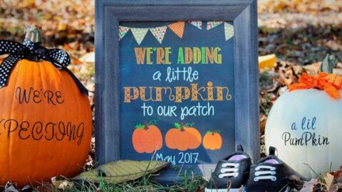 Halloween pregnancy announcement