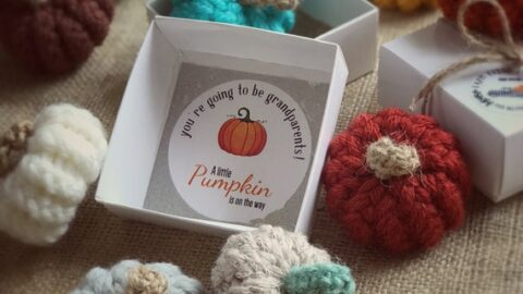 Thanksgiving pregnancy reveal