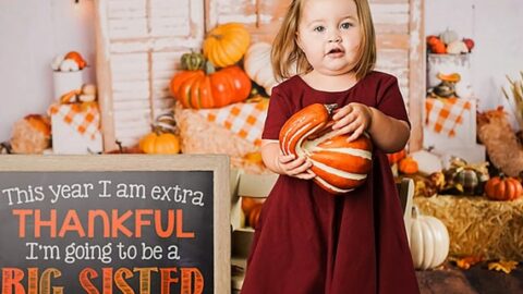 Thanksgiving pregnancy reveal