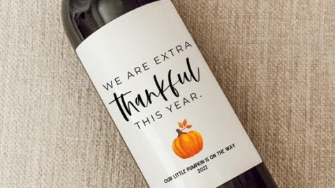 Thanksgiving pregnancy reveal
