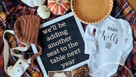 thanksgiving baby reveal