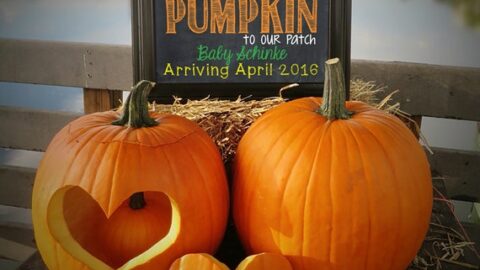 pumpkin pregnancy announcement