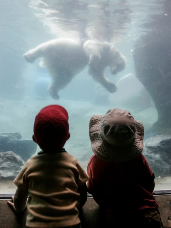 experience gifts for kids
