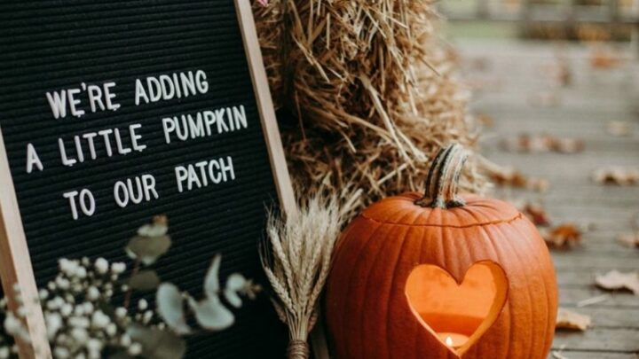 Image for We're Adding a Pumpkin to Our Patch