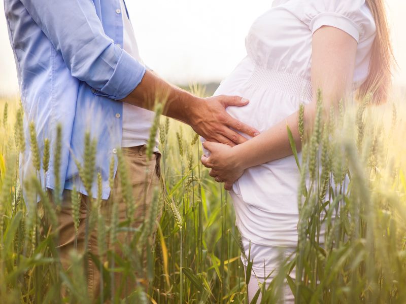 farm pregnancy announcement