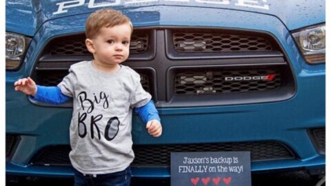 big brotherPolice pregnancy announcement
