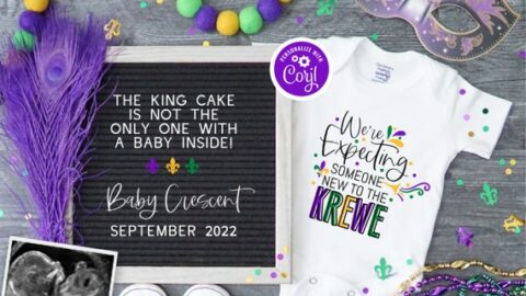Mardi gras pregnancy announcement