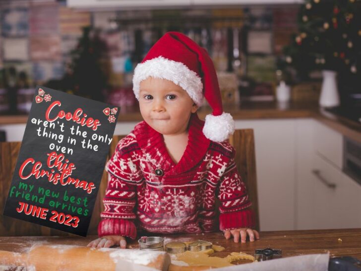 Older sibling christmas pictures