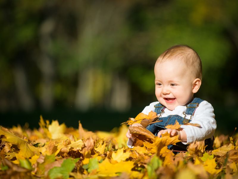 Thanksgiving photoshoot ideas for toddlers
