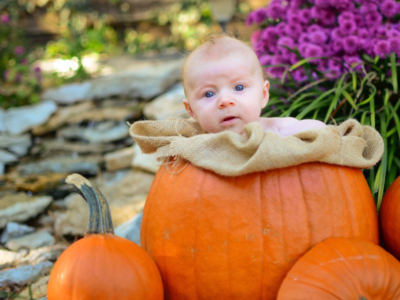 fall photos ideas for baby