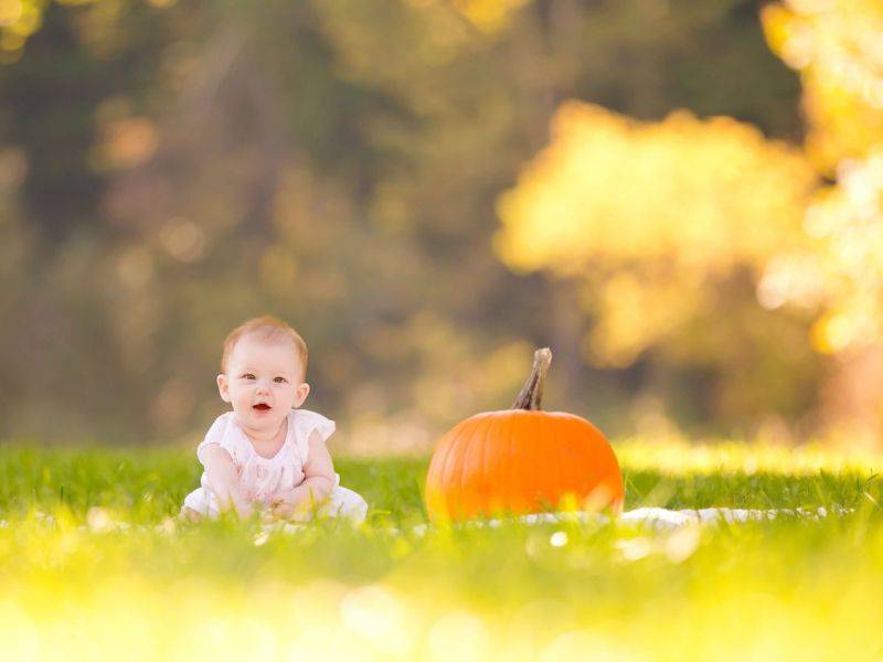 Thanksgiving photoshoot ideas for toddlers