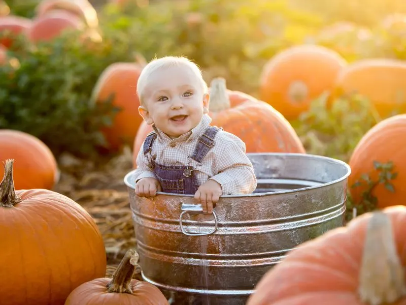 Thanksgiving photoshoot ideas for toddlers