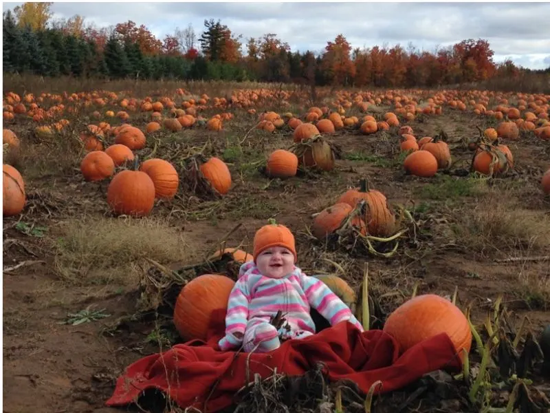 fall photo ideas for toddlers