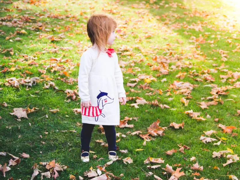 Ideas for fall photos for kids