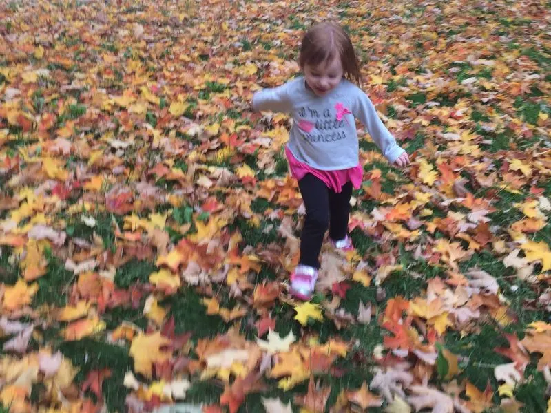 Thanksgiving Photo Ideas For Toddlers