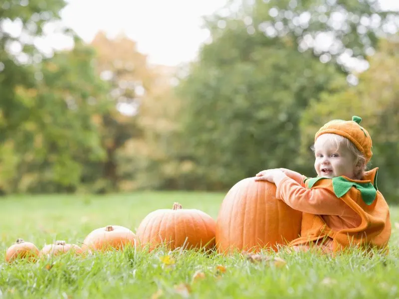 Thanksgiving photoshoot ideas for toddlers