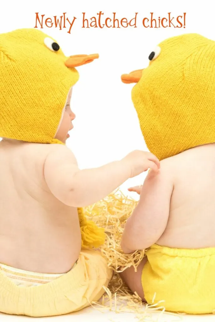 cute Halloween Instagram captions for baby's first Halloween - twins