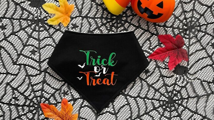Best Halloween gifts for baby