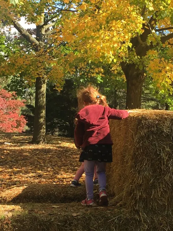 fall festival activities ideas