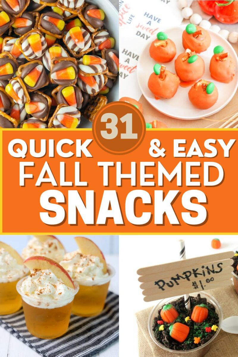31 Perfect Fall Festival Snack Ideas -Fun And Easy