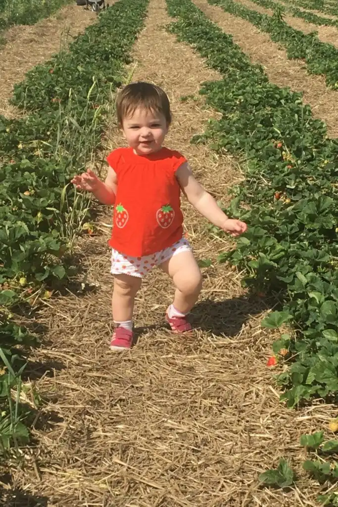 baby berry picking 