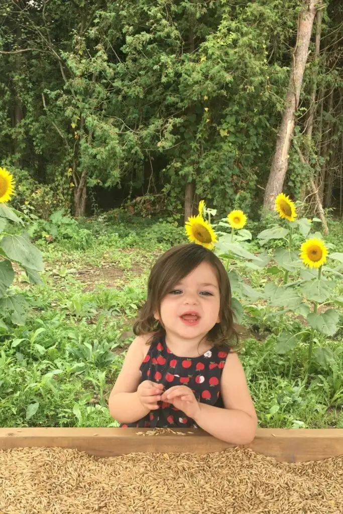 a baby with sunflowers