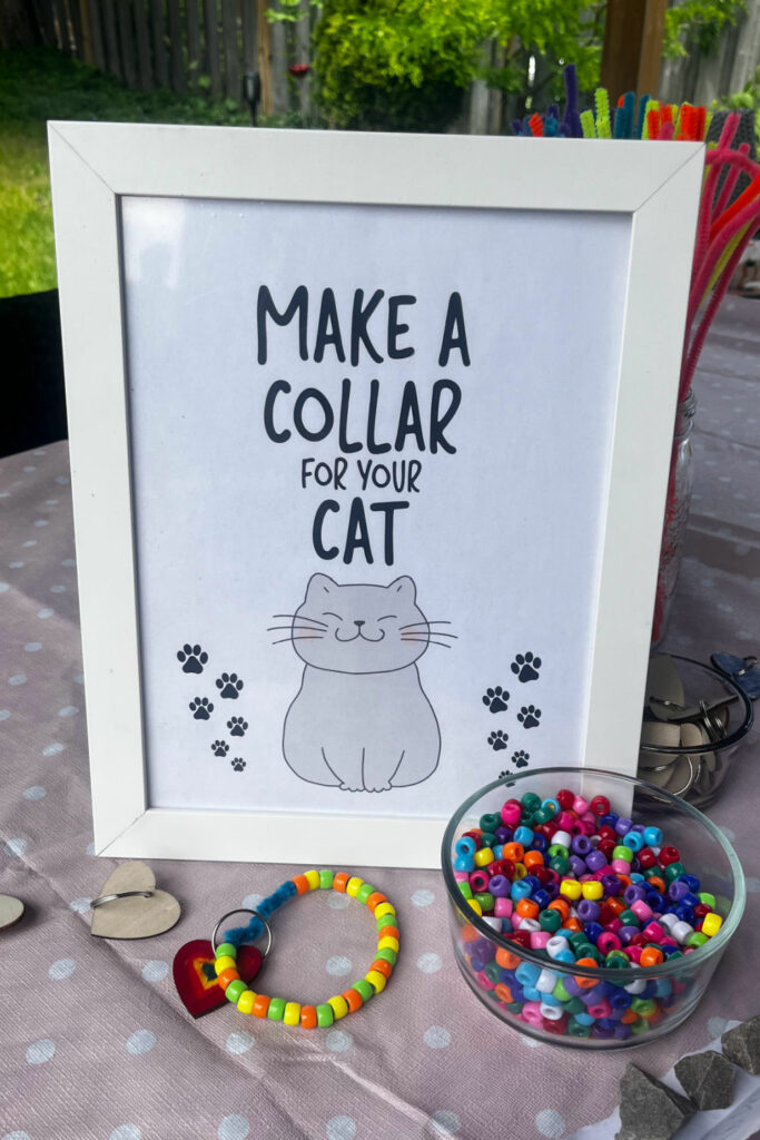 cat party ideas