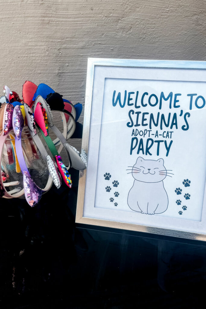 cat birthday party ideas