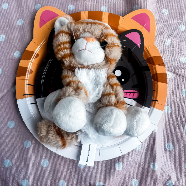cat birthday party theme ideas
