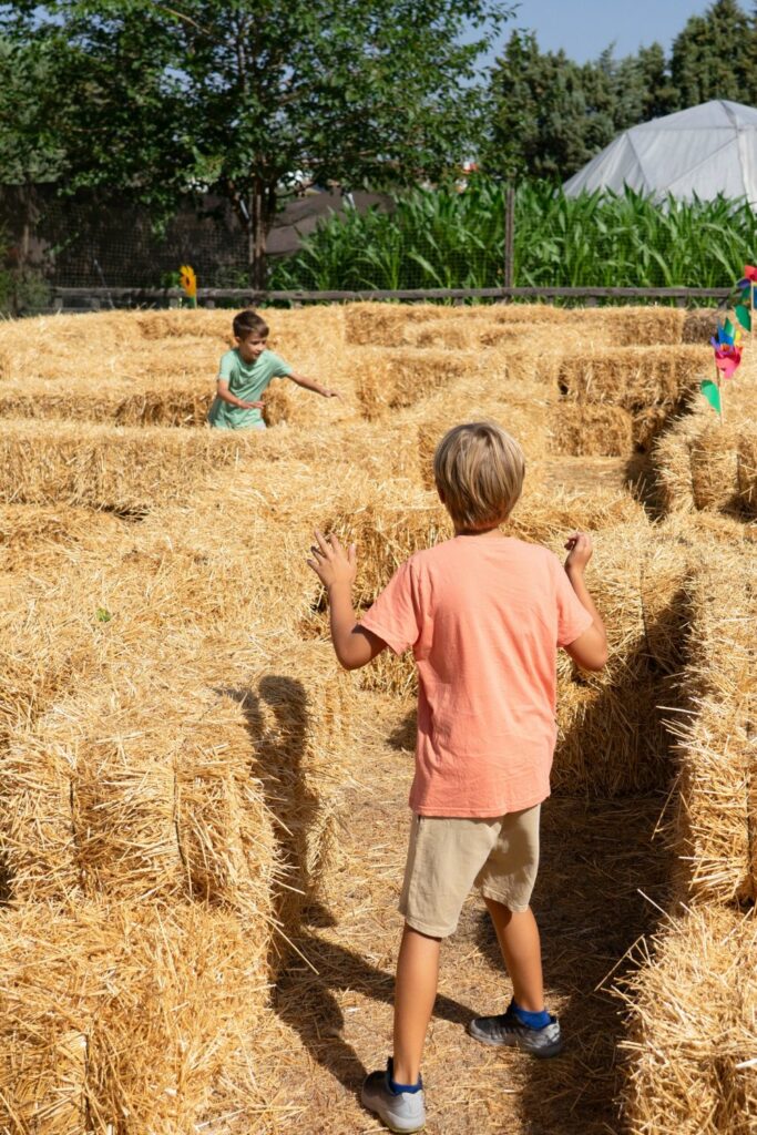 Fall obstacle course game